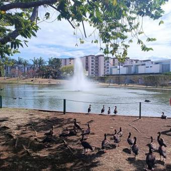 Se alquila amoblado apartamento en condominio San Rafael Alajuela 25-1343