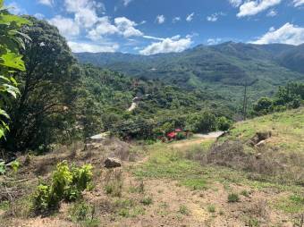 Se vende lote de 4,667m2 en Frailes de 