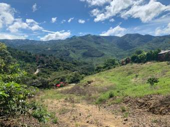 Se vende lote de 4,667m2 en Frailes de 