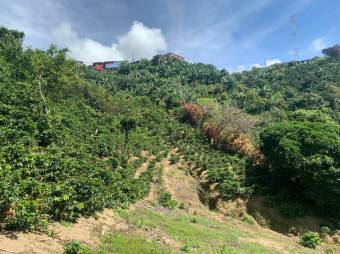 Se vende lote de 4,667m2 en Frailes de 