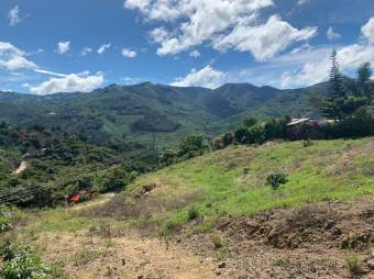 Se vende lote de 4,667m2 en Frailes de 