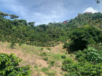 Se vende lote de 4,667m2 en Frailes de 