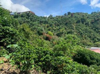 Se vende lote de 4,667m2 en Frailes de 