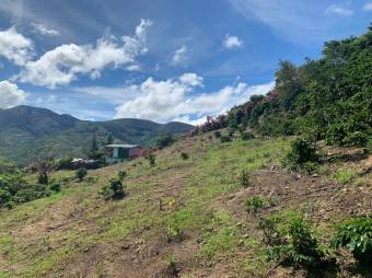 Se vende lote de 4,667m2 en Frailes de 