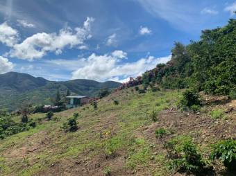 Se vende lote de 4,667m2 en Frailes de 