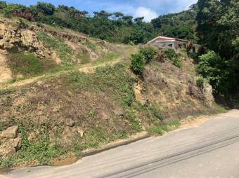 Se vende lote de 4,667m2 en Frailes de 