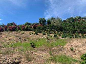 Se vende lote de 4,667m2 en Frailes de 