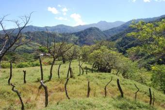 Se vende amplia finca de 2,1 hectáreas en Rio Oro 23-3341