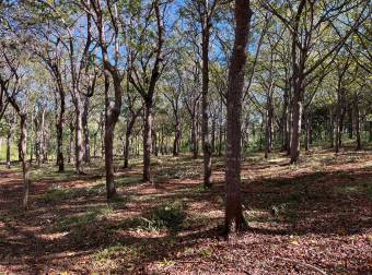 5000 m2 in San José De Pinilla, Tamarindo area, Province of Guanacaste