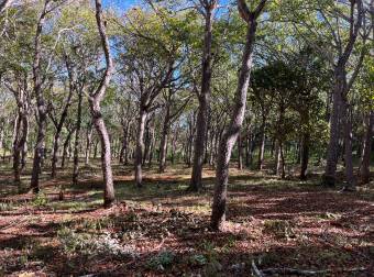 5000 m2 en San José De Pinilla, zona de tamarindo, Provincia de Guanacaste