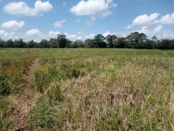 ¡GRAN  REMATE! Finca en Upala, Alajuela