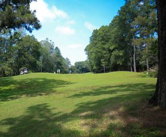 Lots for sale in the Ciudad Hacienda Los Reyes residential area.