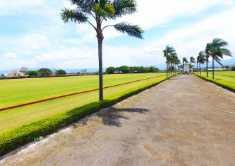 Lots for sale in the Ciudad Hacienda Los Reyes residential area.