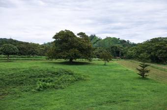 Casa de 2 habitaciones en gran terreno ubicado en Potrero
