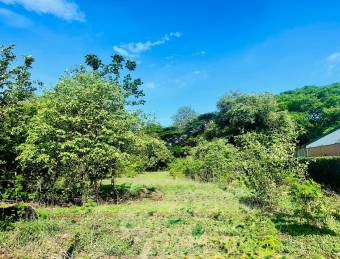 Land For Sale - La Garita Nueva, Guanacaste