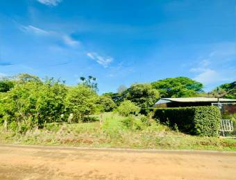 Land For Sale - La Garita Nueva, Guanacaste
