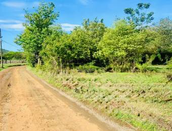 Land For Sale - La Garita Nueva, Guanacaste