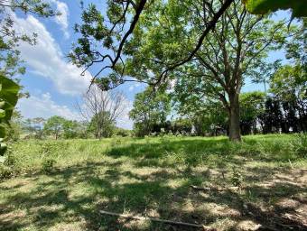 Se vende lote de más de 7000m2 en San Antonio Alajuela 26-1304