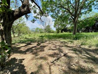 Se vende lote de más de 7000m2 en San Antonio Alajuela 26-1304