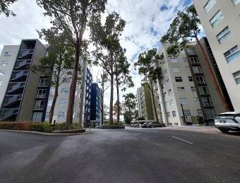 Se alquila espacio apartamento en San Miguel de Santo Domingo  26-1319