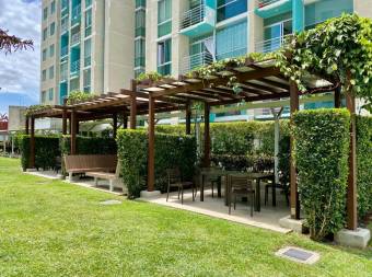 Se vende apartamento con mucha luz natural en Hatillo San José 26-1786