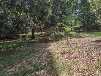 Se vende lote en Brasil Santa Ana 25-1945