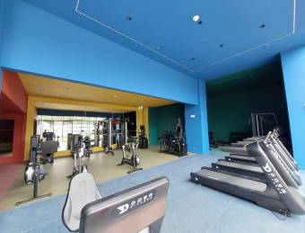 Se alquila apartamento en Catedral San José 26-1325