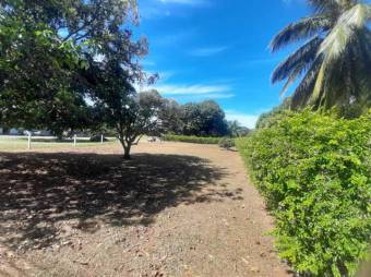 MLS-261339 LS VENTA OROTINA ALAJUELA