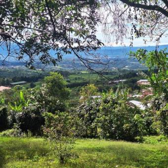 MLS-26-330 VENTA LOTE SAN ISIDRO GRECIA MLS-26-330 VENTA LOTE SAN ISIDRO GRECIA