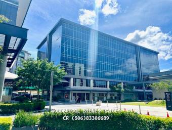 Avenida Escazu Escazu apartment for rent 1 bedroom/ $2.000