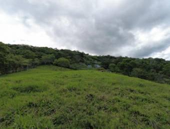 MLS-23-3180 VENTA FINCA MORA SAN JOSE