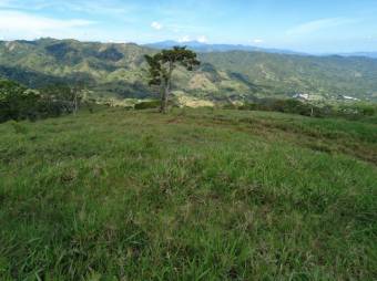 MLS-23-3180 VENTA FINCA MORA SAN JOSE