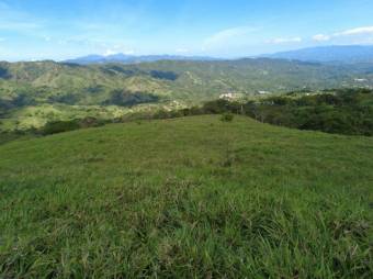 MLS-23-3180 VENTA FINCA MORA SAN JOSE