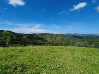 MLS-23-3180 VENTA FINCA MORA SAN JOSE