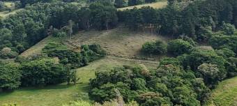 MLS-26-682 VENTA FINCA BARVA HEREDIA