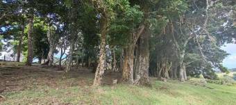 MLS-26-682 LS VENTA FINCA BARVA HEREDIA