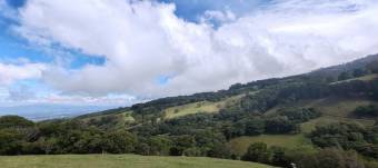 MLS-26-682 LS VENTA FINCA BARVA HEREDIA