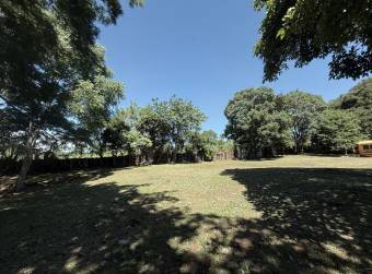 Alquiler de Lote de Terreno en La Guácima de Alajuela / Mls. 26-233 OFC JB