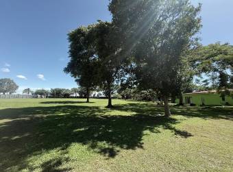 Alquiler de Amplio Lote en Guácima, Alajuela Mls. 26-231 26-231 OFC JB