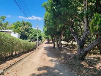 MLS-26-257 LS VENTA LOTE OROTINA ALAJUELA MLS-26-257 LS VENTA LOTE OROTINA ALAJUELA