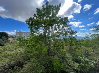 APARTMENT FOR RENT IN MONTE ALTO, GRANADILLA