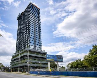 Se alquila apartamento en Catedral San José 26-1325