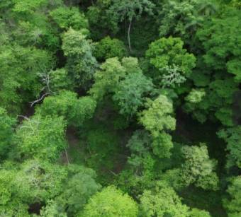 MLS-26-30 LS VENTA LOTE OROTINA ALAJUELA MLS-26-30 LS VENTA LOTE OROTINA ALAJUELA