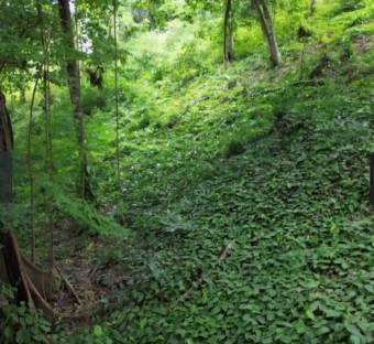 MLS-26-30 LS VENTA LOTE OROTINA ALAJUELA MLS-26-30 LS VENTA LOTE OROTINA ALAJUELA