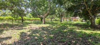 MLS-26-756 LS VENTA LOTE OROTINA ALAJUELA