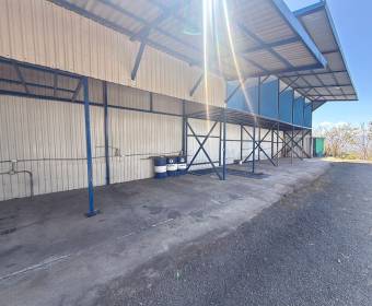 Commercial, Industrial Property for Sale in Grecia, Alajuela, ₡ 950,000, 6, Alajuela, Grecia