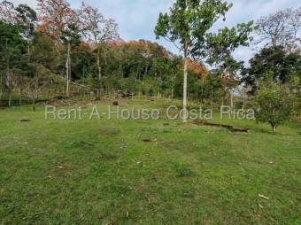 MLS-26-1444 VENTA FINCA MURCIA TURRIALBA MLS-26-1444 VENTA FINCA MURCIA TURRIALBA