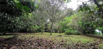 MLS-25-607 LS VENTA QUINTA GUACIMO LIMON