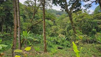 MLS-26-833 LS VENTA PROPIEDAD CON RESTAURANTE LA UNION CARTAGO