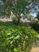 APARTMENT FOR RENT, HEREDIA, ULLOA, TERRAFE CONDOMINIUM - 9798772